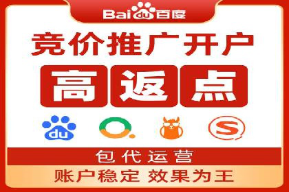 竞价排名案例：行业领先企业经验